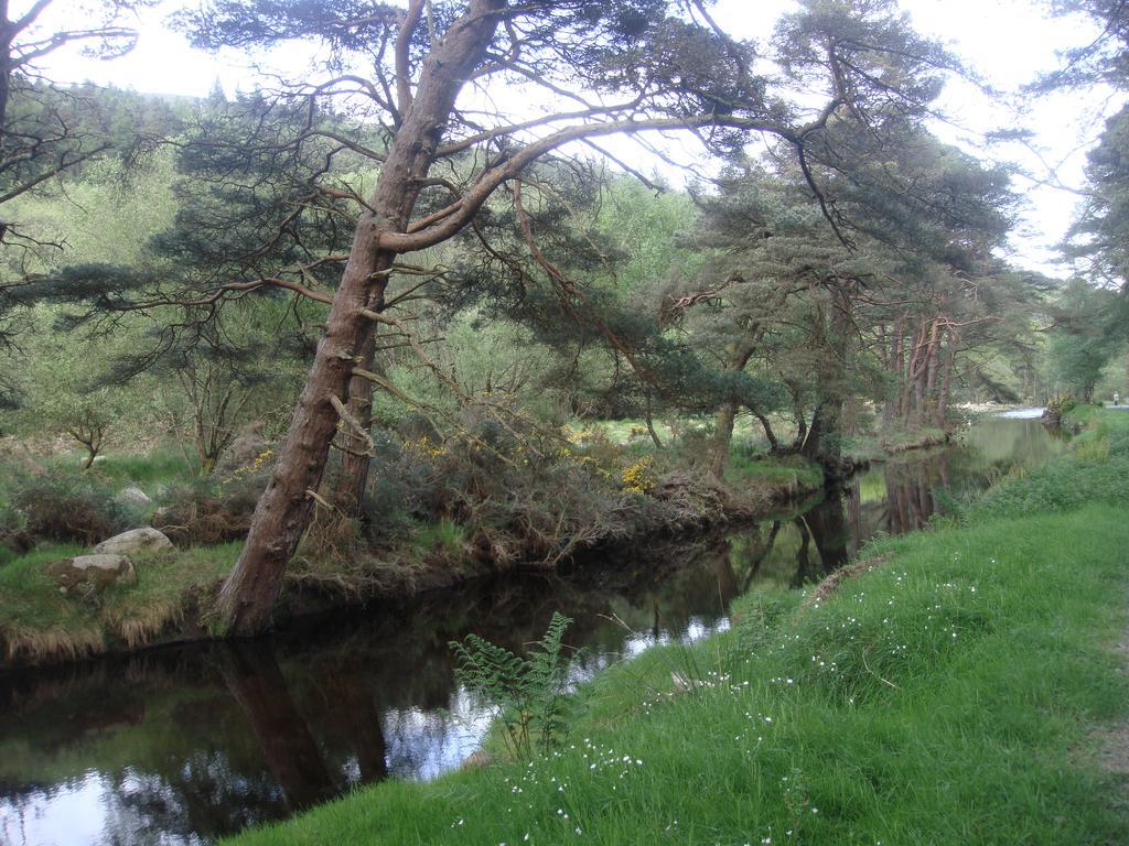 Riversdale House Accommodation Laragh Exterior foto
